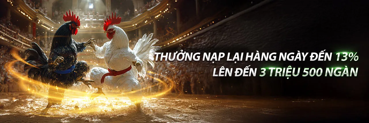 Sân vận động bóng đá với khán giả hò reo và logo abc8 chính thức